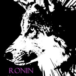 Main image of Ronin Martial Arts Academy