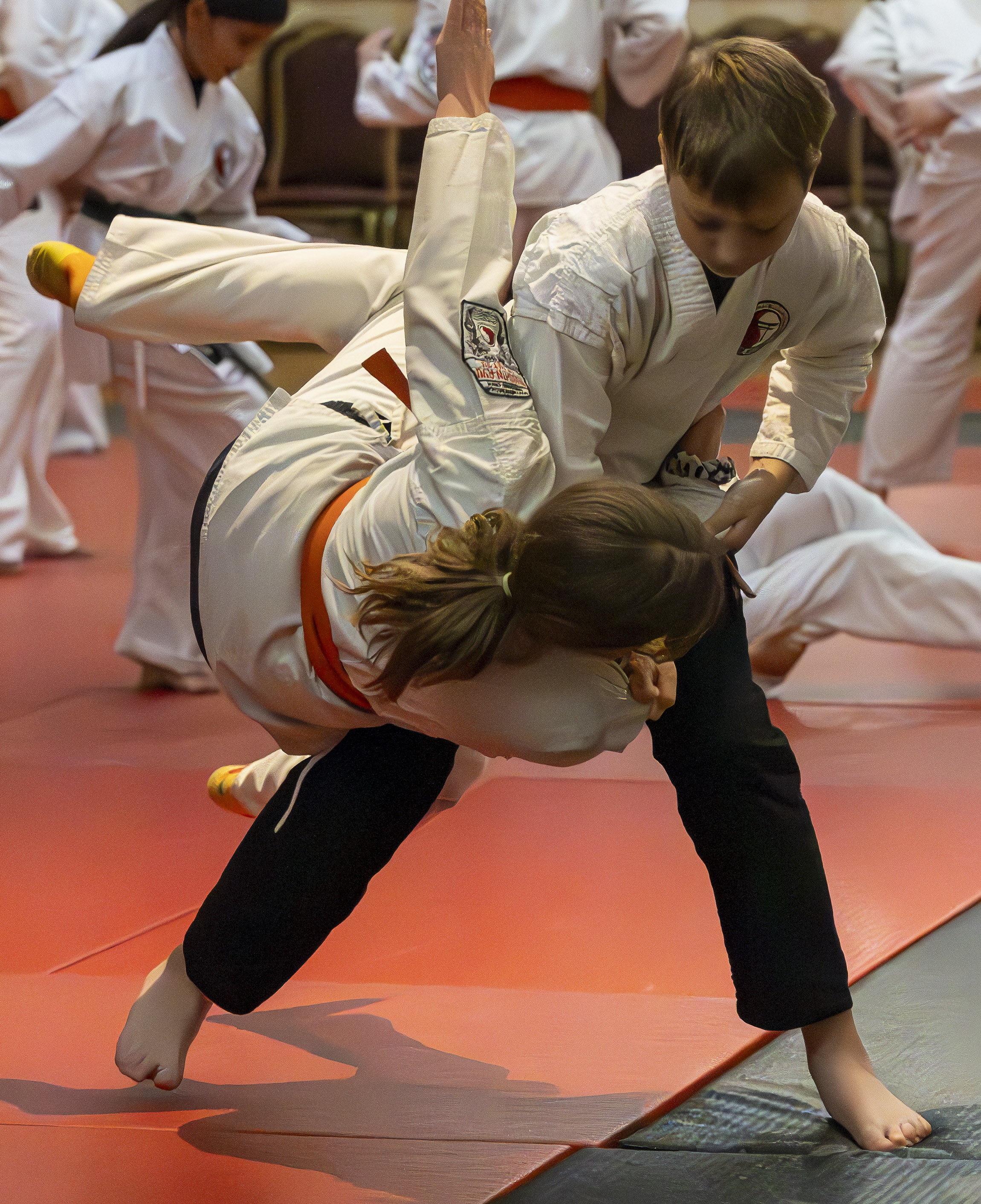 Main image of Ronin Martial Arts
