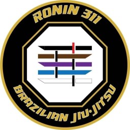 Main image of Ronin311