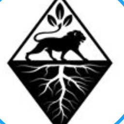 Main image of Roots jiu-jitsu academy