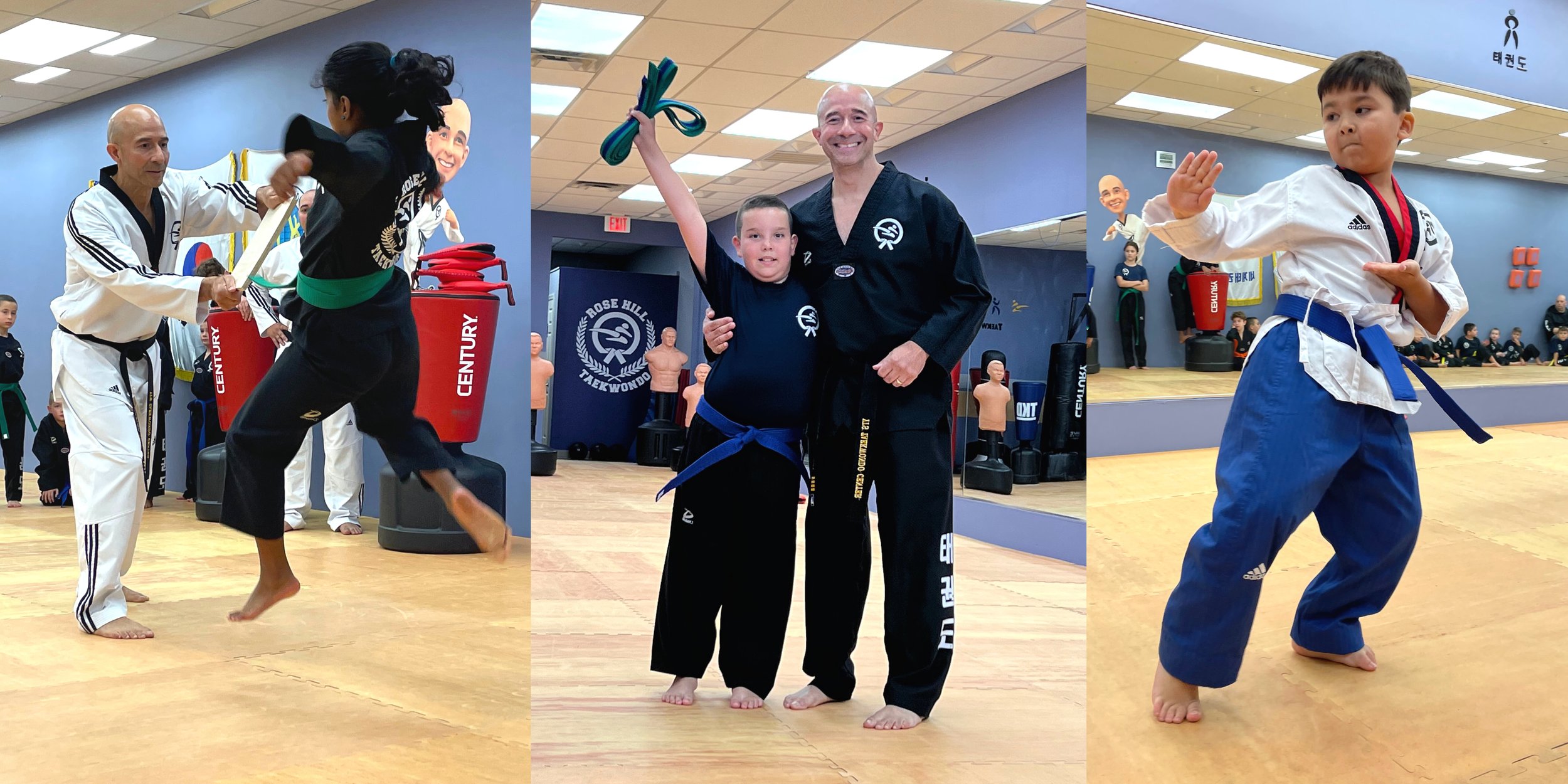 Main image of Rose Hill Taekwondo