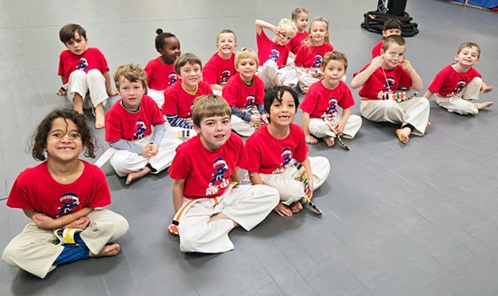 Main image of Rouleau-Holley's Martial Arts