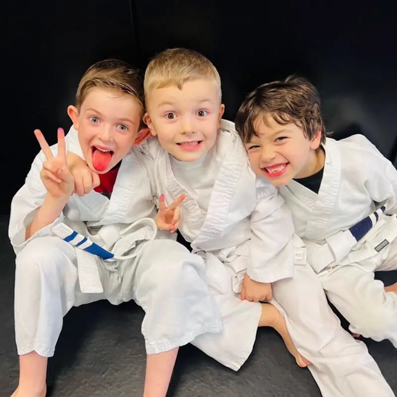 Main image of Royce Gracie Academy of Macomb- Jiu Jitsu and Self Defense
