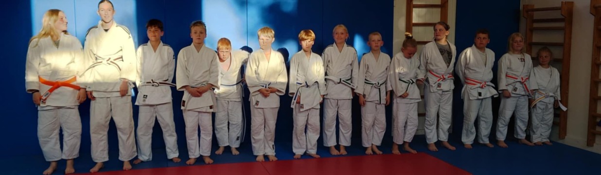 Main image of Ørsø Judo Club