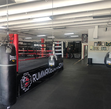 Main image of Rumi Maki Boxing & Martial Arts