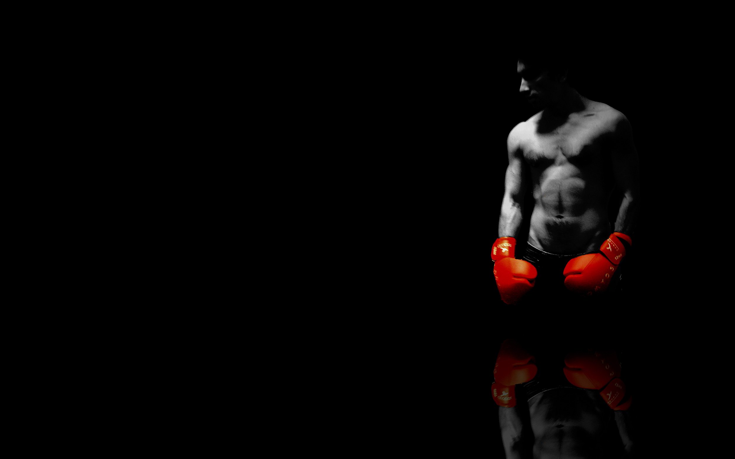 Main image of Rybnik Boxing