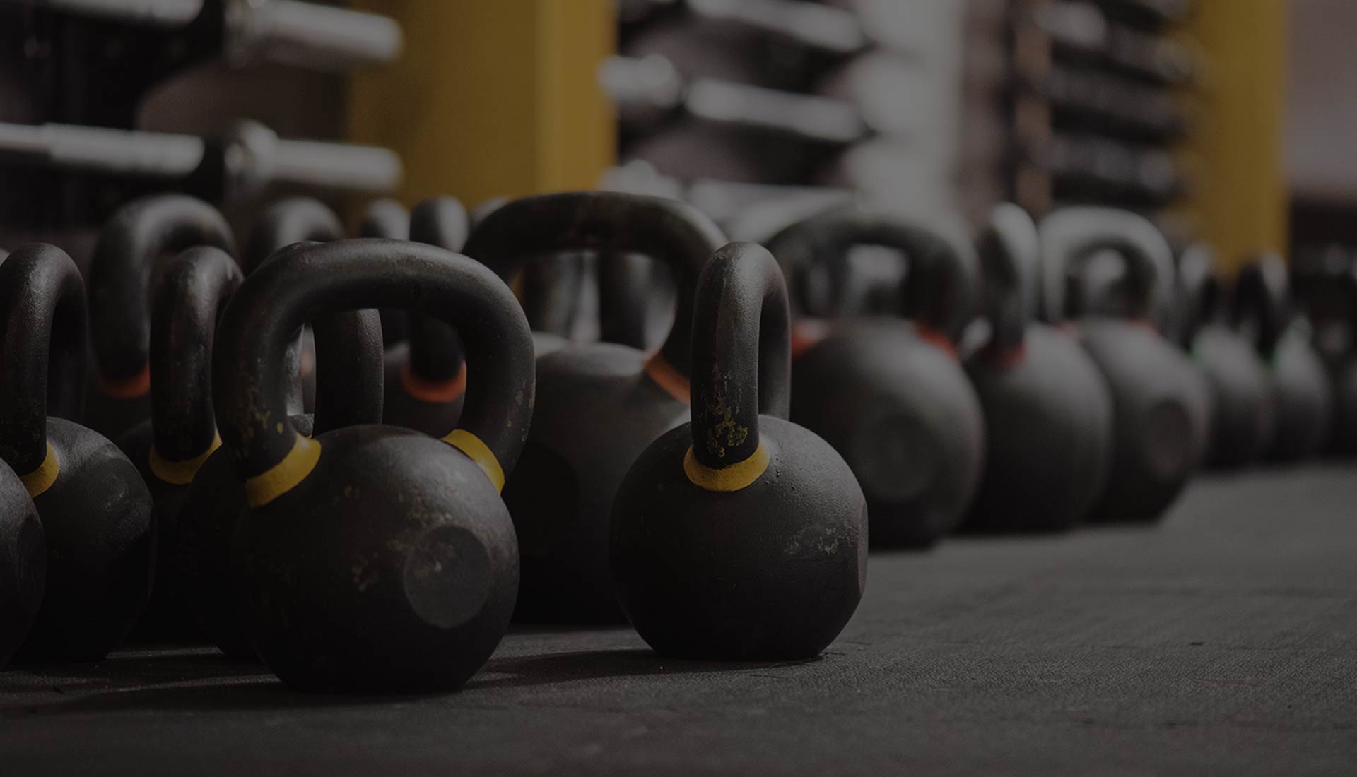 Main image of RYU - Martial Arts & Fitness