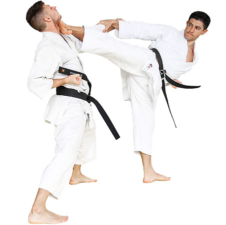 Main image of S.A. Gorei Karate