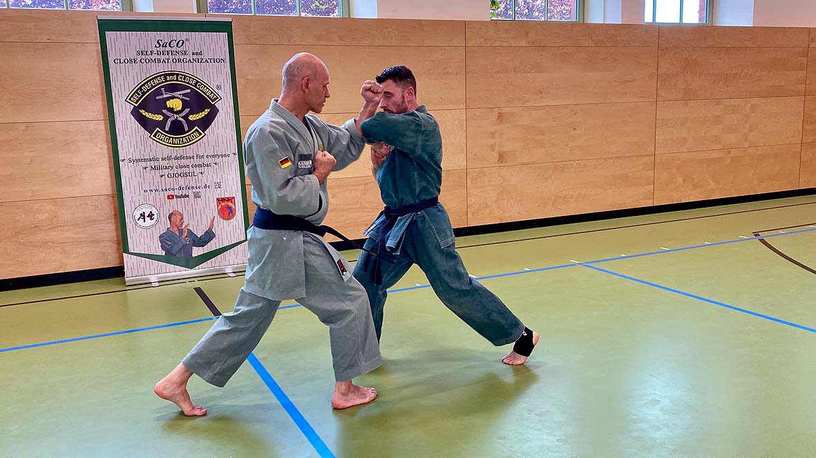 Main image of SaCO - Self-Defense and Close Combat Organization