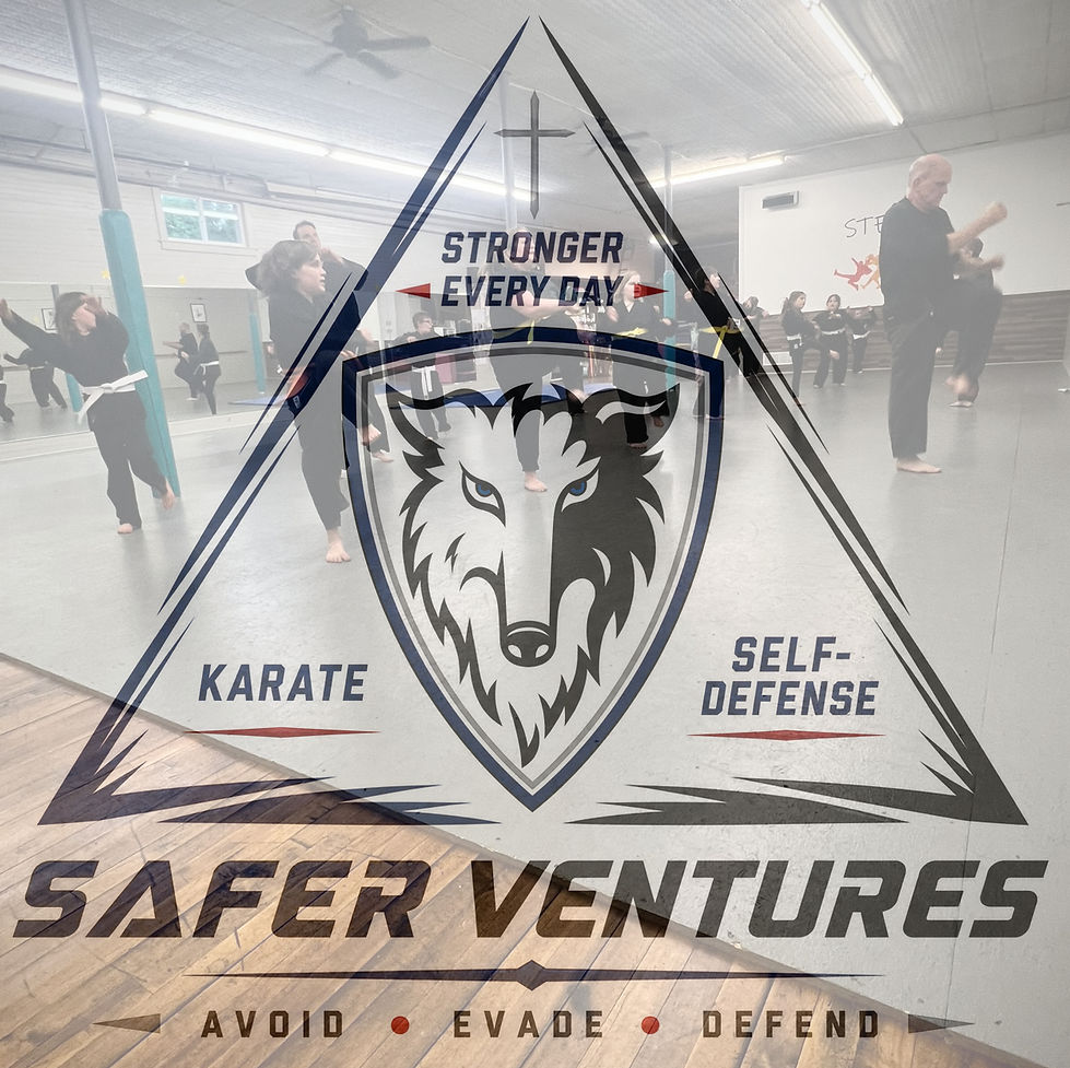Main image of SAFER Ventures