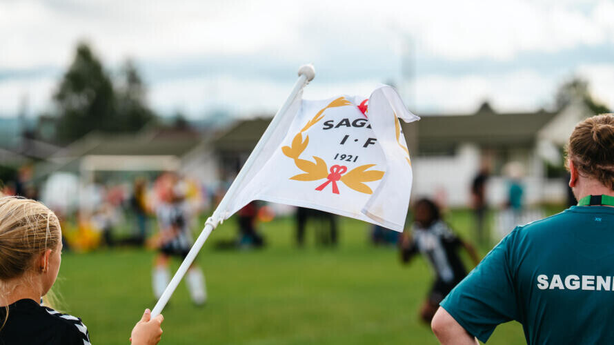 Main image of Sagene If