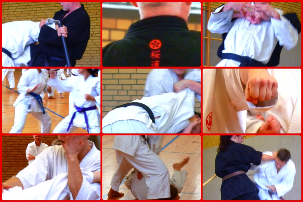 Main image of Sakura Dojo Neuss