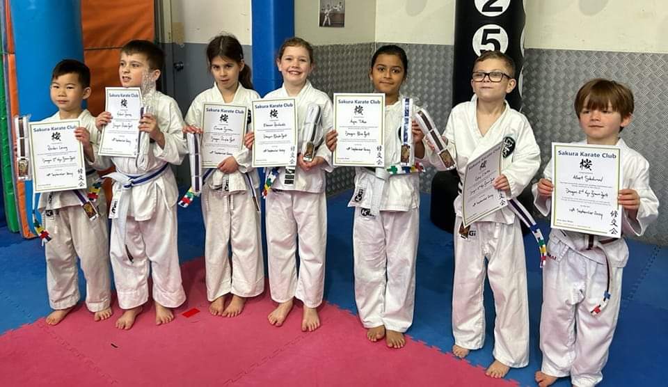 Main image of Sakura Karate Club