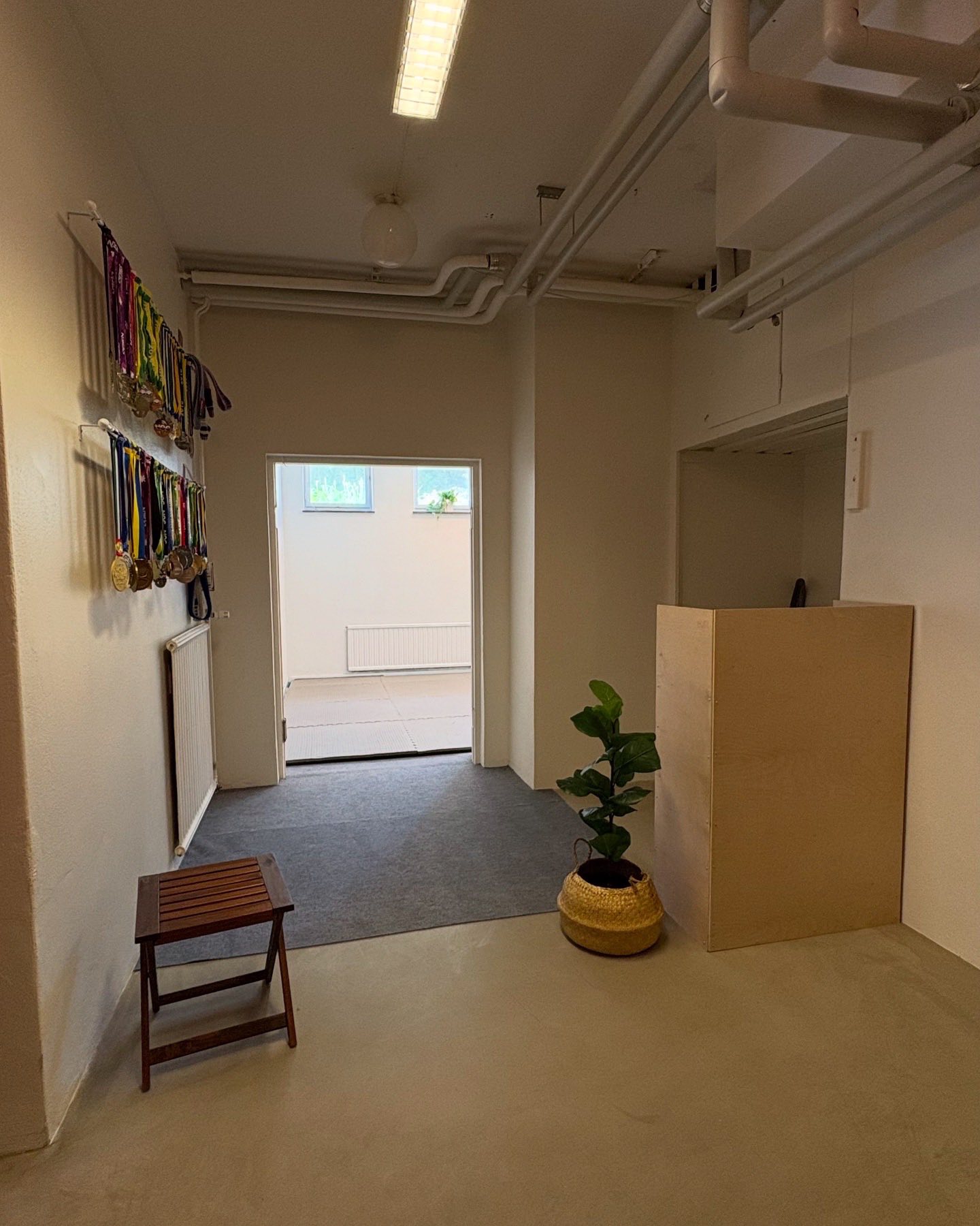 Main image of Sala jiu jitsu