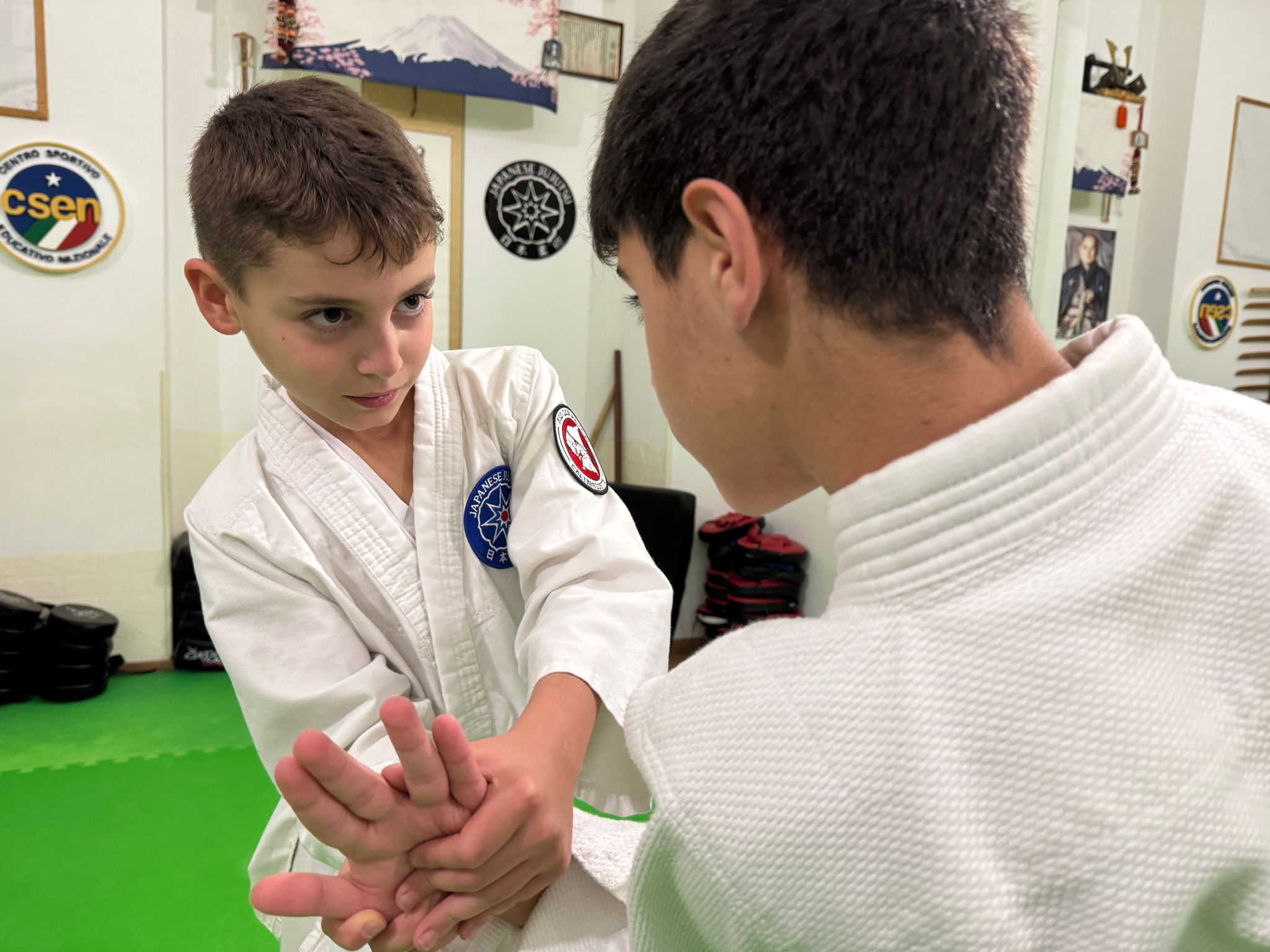 Main image of Samurai Dojo