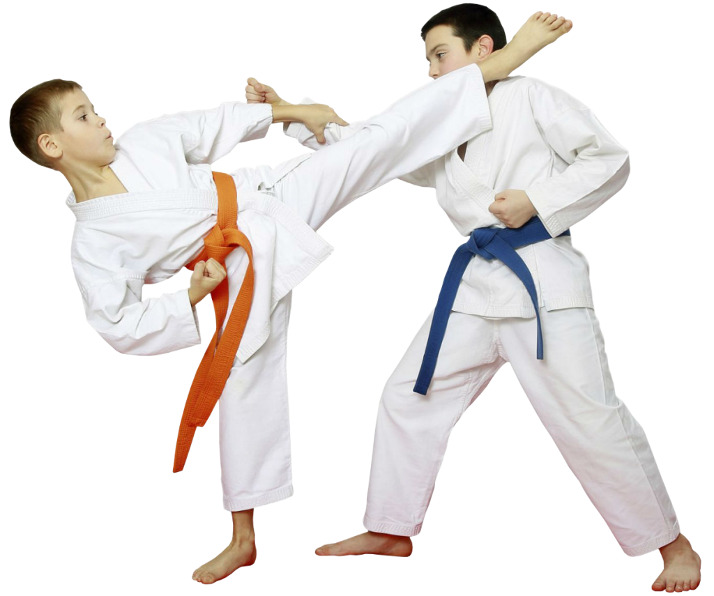 Main image of Samurai Karate Sunshine