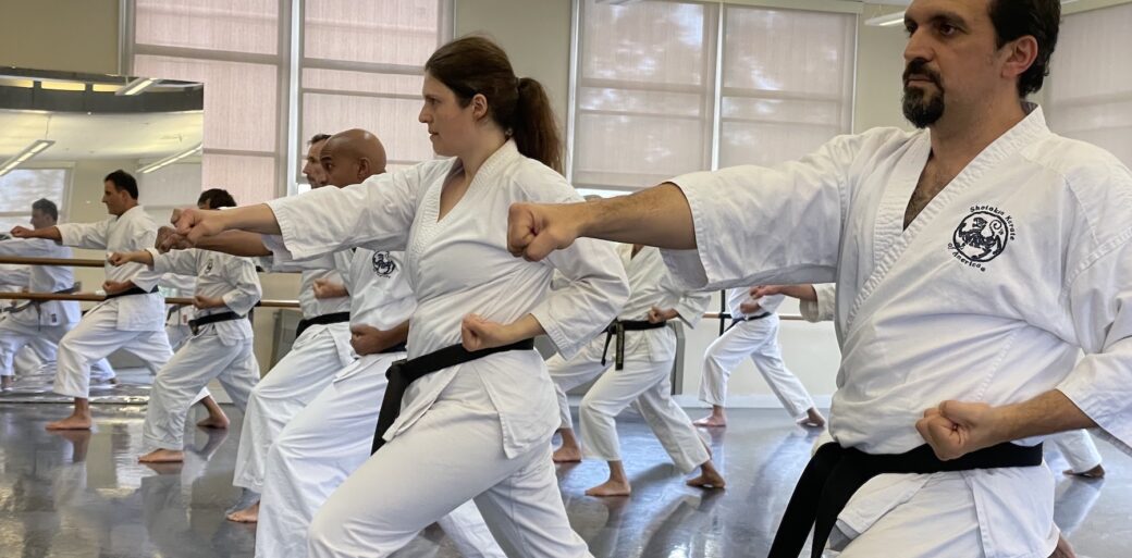 Main image of San Diego Peninsula Shotokan Karate