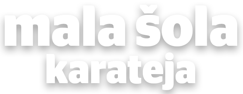 Main image of Sankukai Karate Slovenija