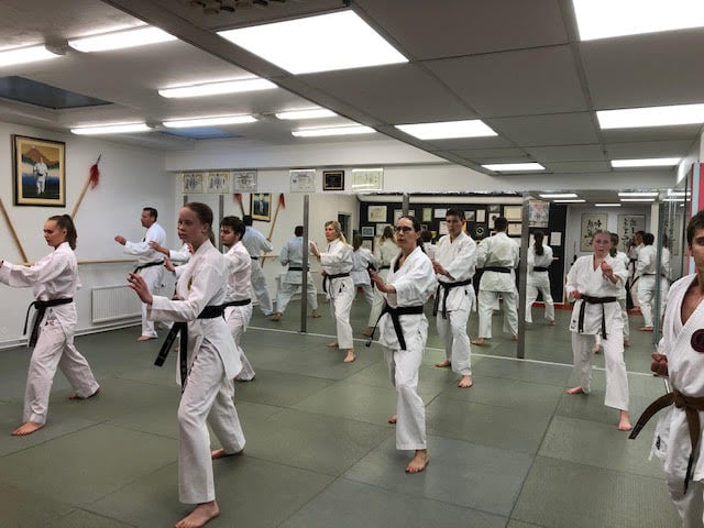 Main image of Sanshin Karate Club