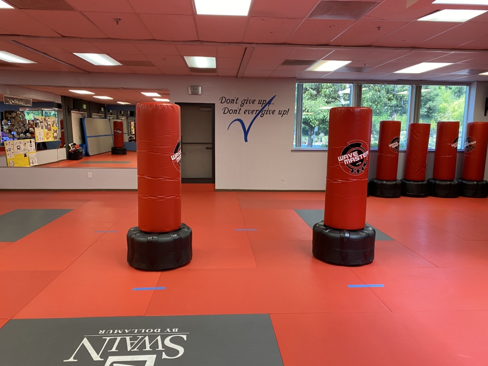 Main image of Santa Teresa Martial Arts