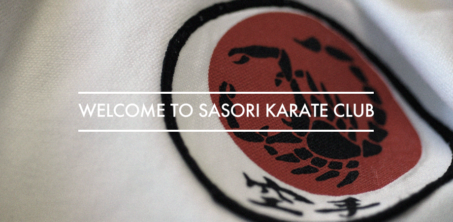 Main image of Sasori Karate Club