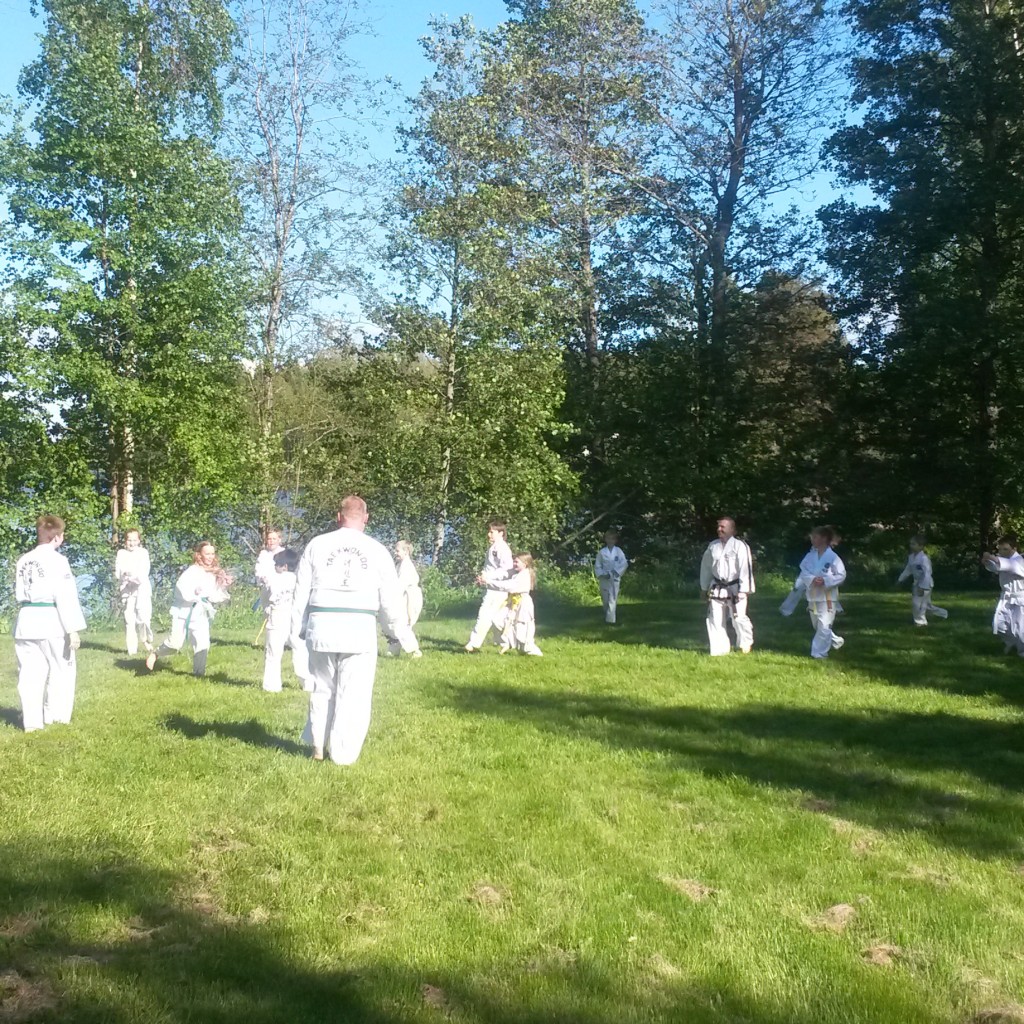 Main image of Sastamalan Taekwon-Do