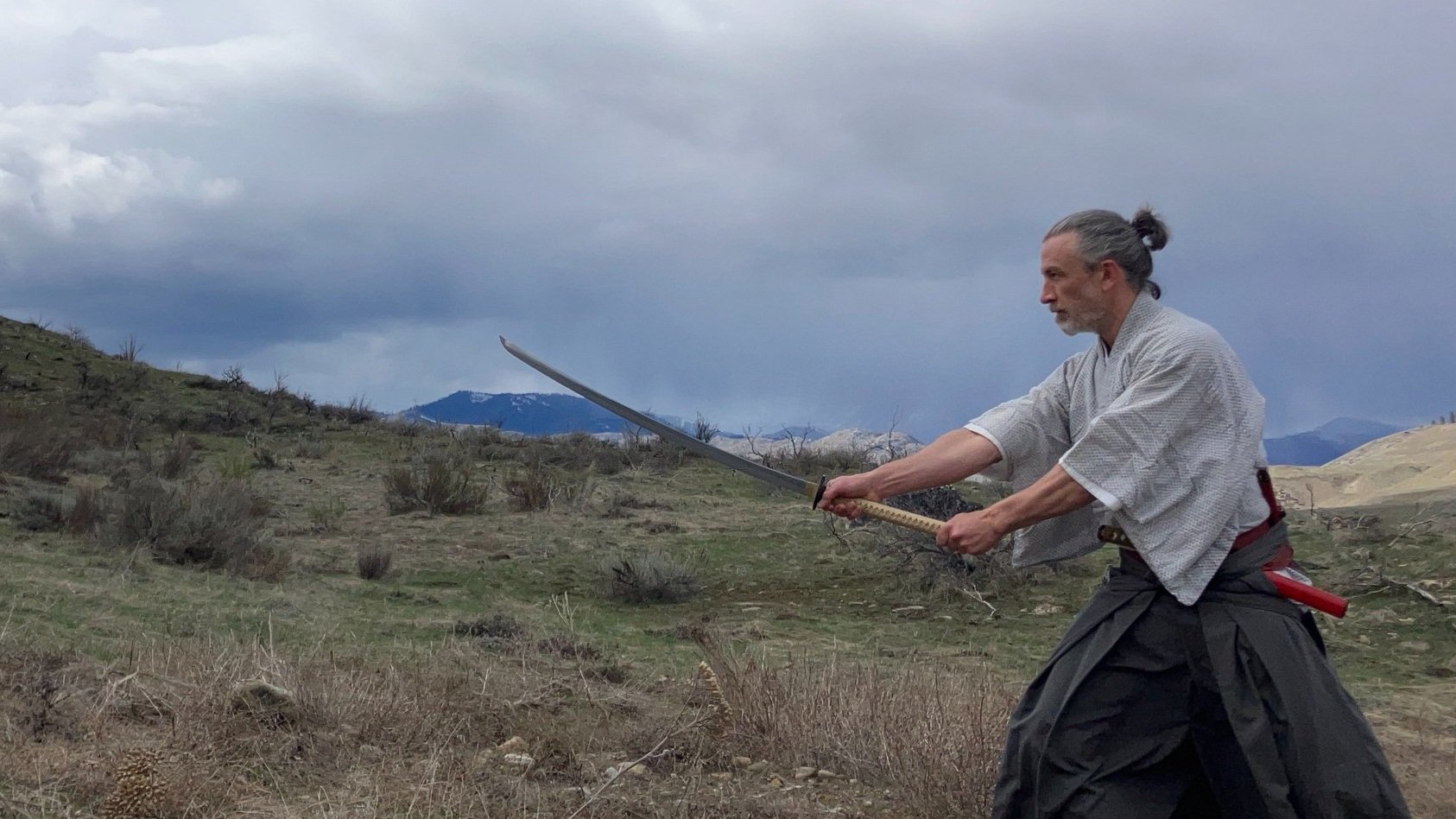 Main image of Sato Bu Kan - Nami Ryu Aiki Heiho