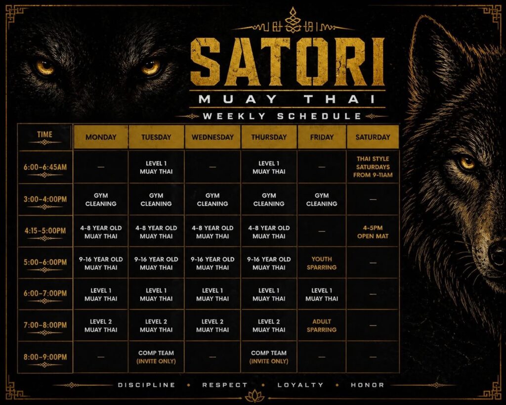 Main image of Satori MMA
