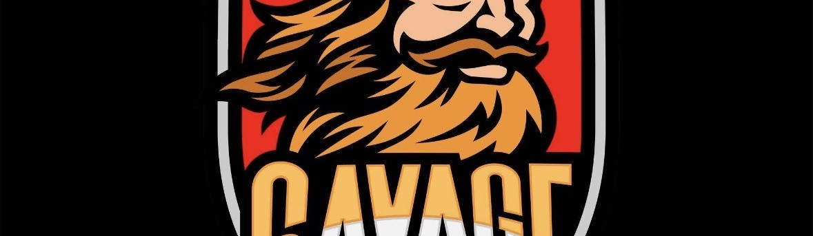 Main image of Savage Combatives Academy