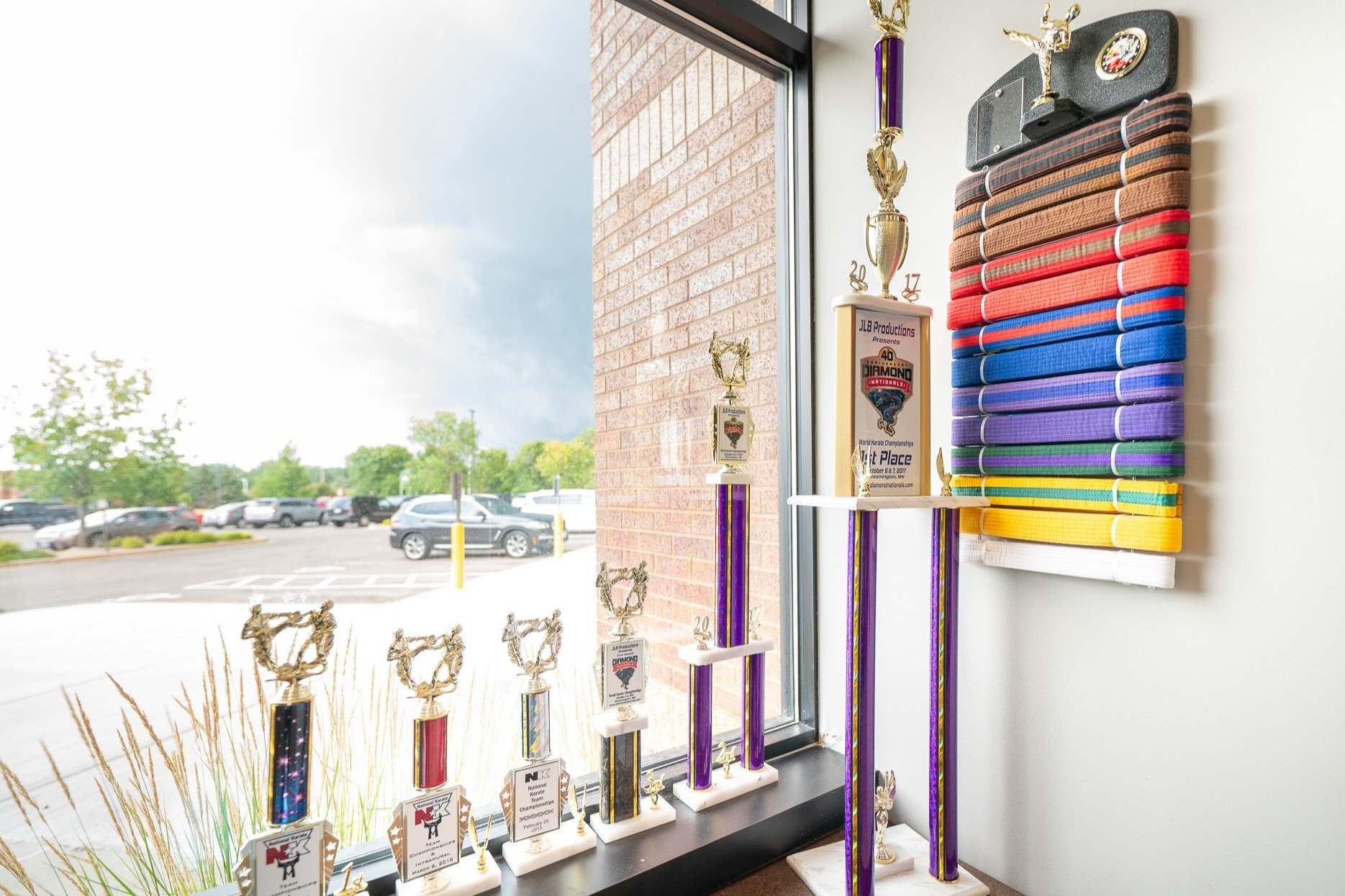 Main image of Savage National Karate