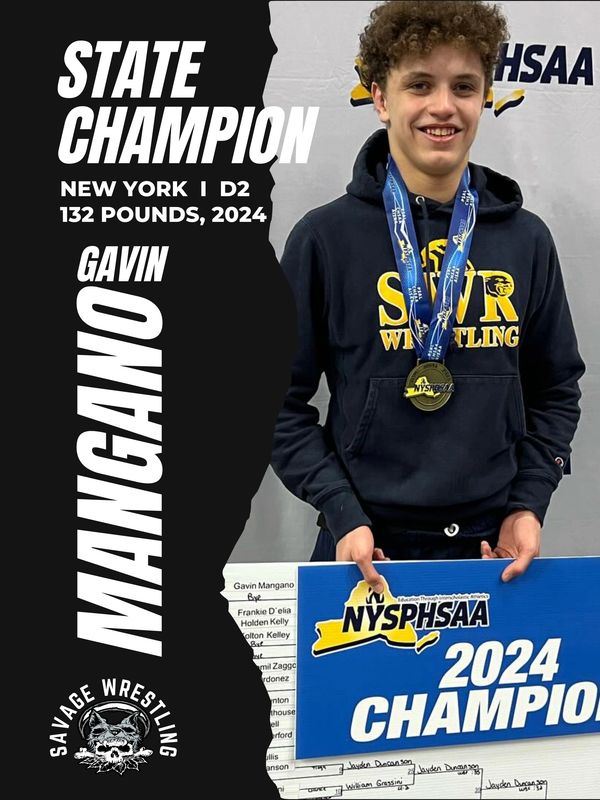 Main image of Savage Wrestling