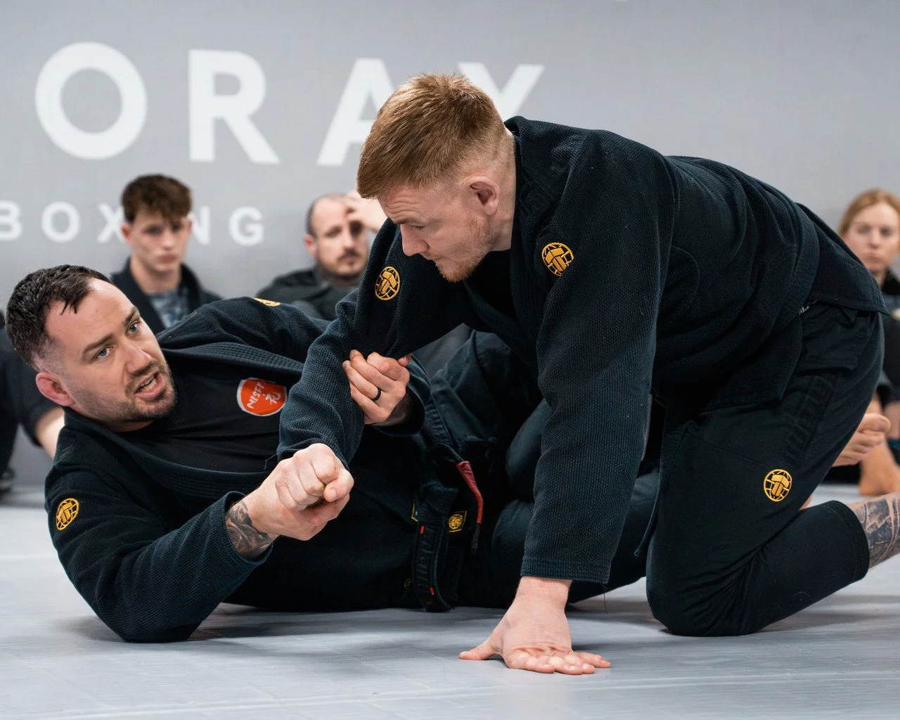 Main image of SBG Moray Martial Arts
