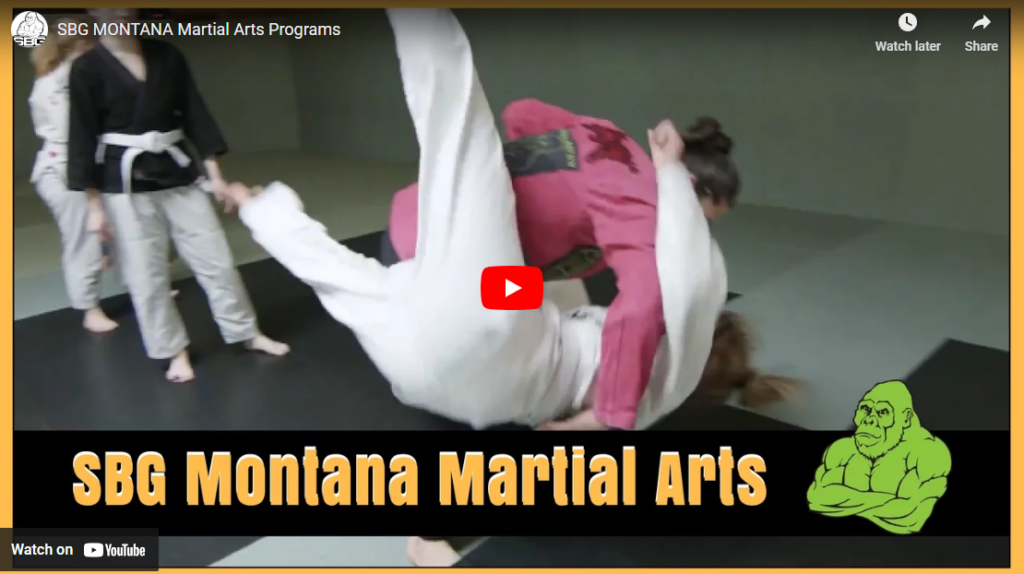 SBGi Martial Arts Whitefish