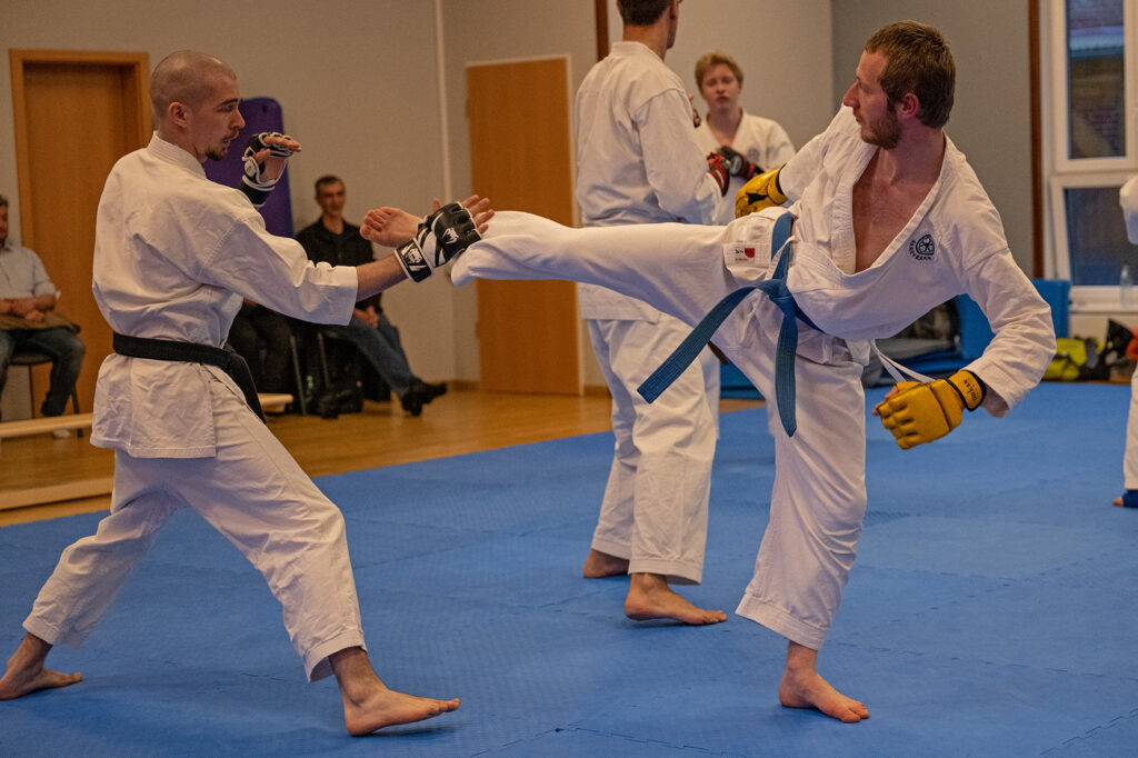 Main image of Sc Pinneberg Karate