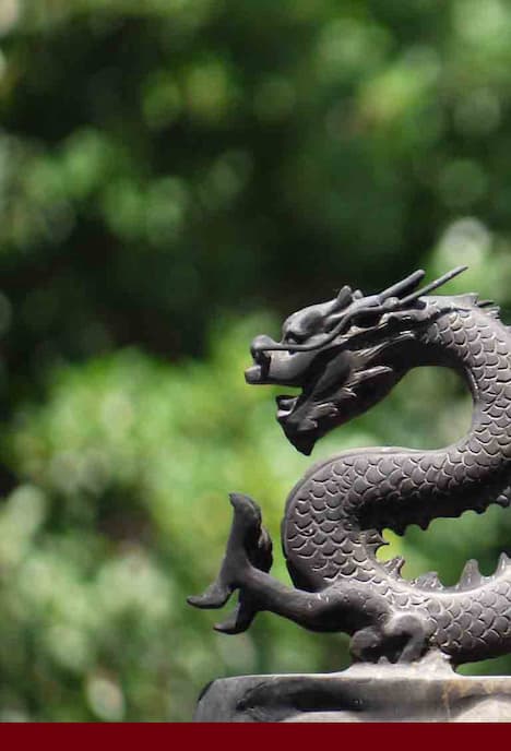 Main image of School of L'Onde du Dragon