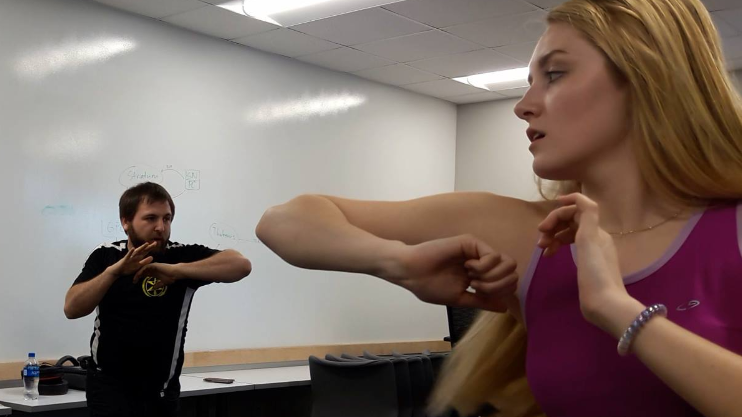 School of self defense