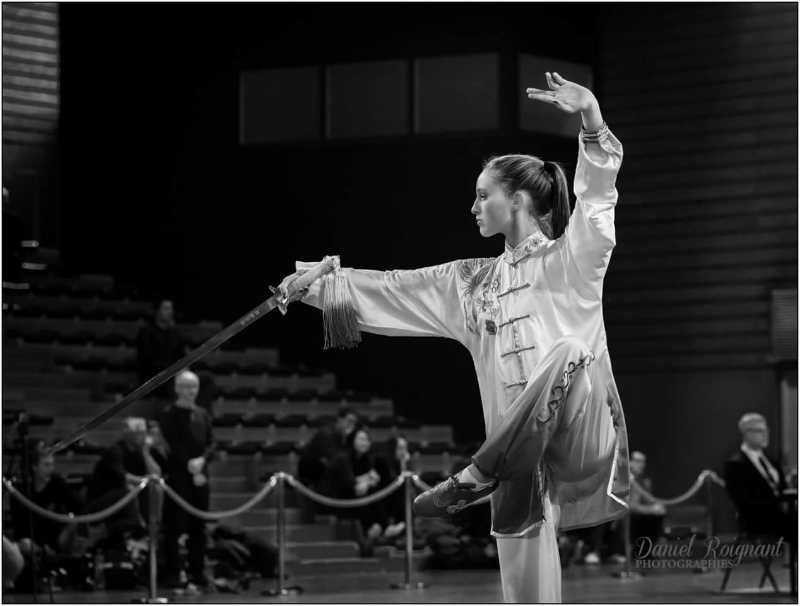 Main image of School Wushu Brest