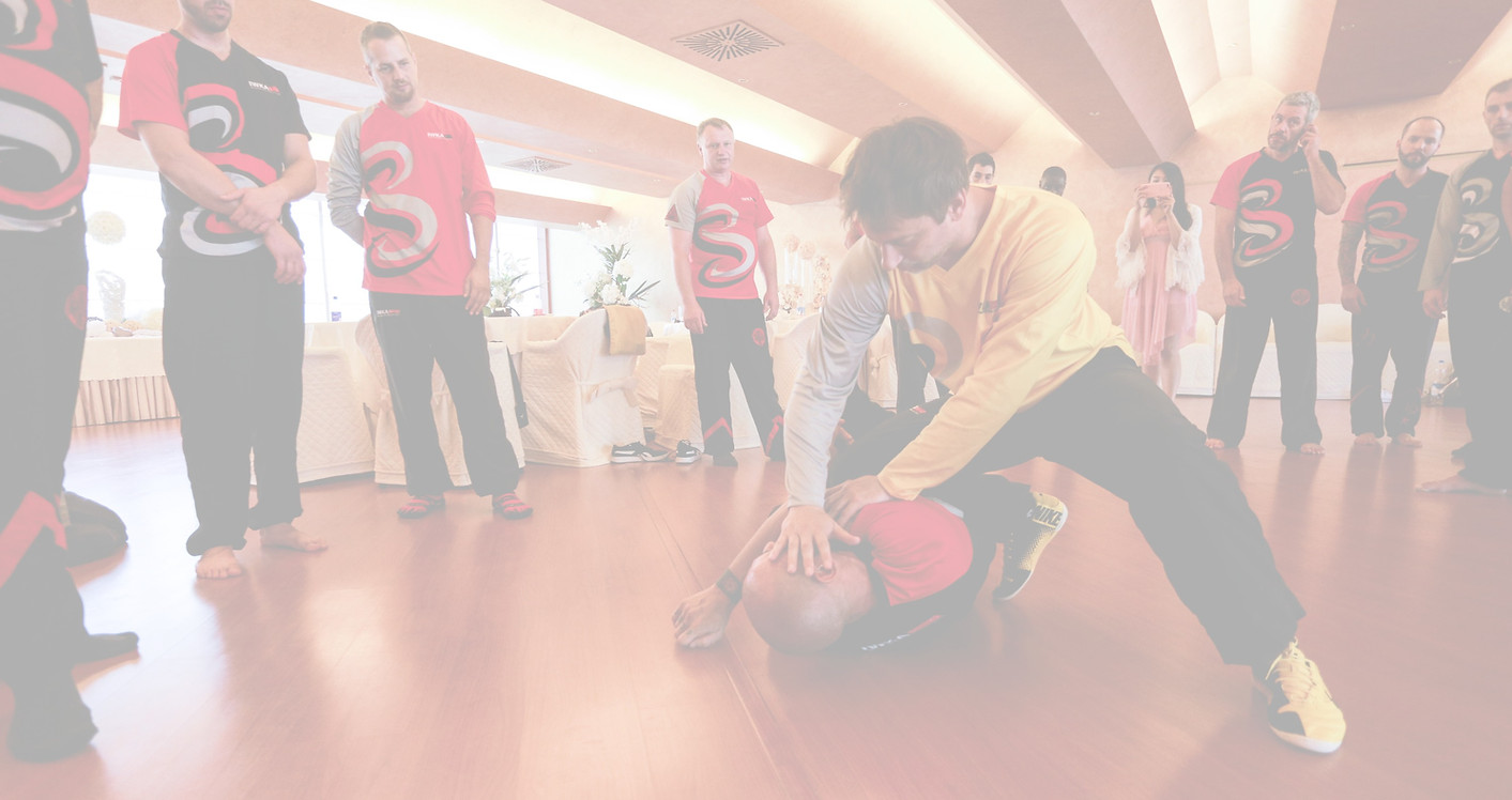 Main image of Schools of Kung Fu Brisbane