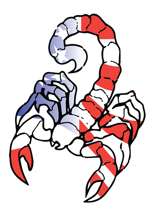 Main image of Scorpion Defense Training Group LLC.