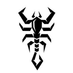 Main image of Scorpion Martial Arts Club