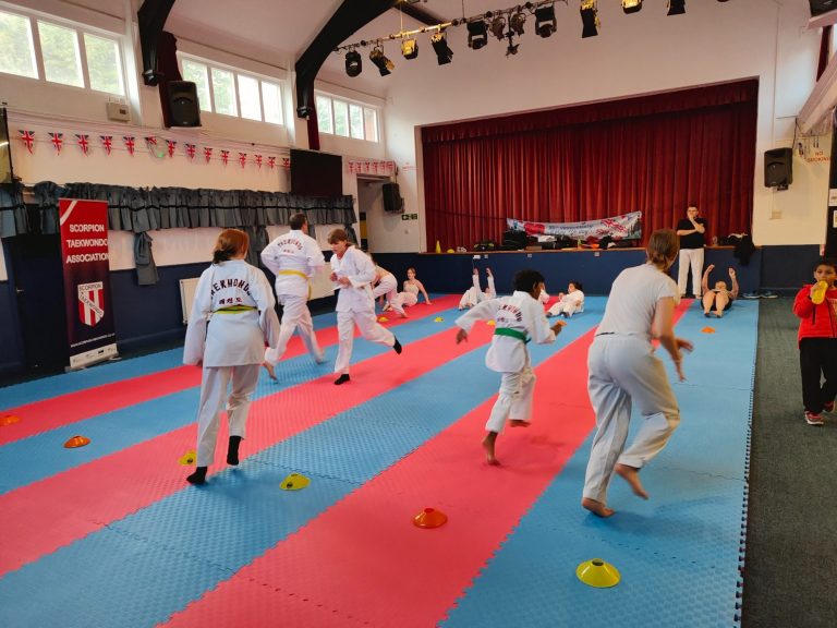 Main image of Scorpion Taekwondo Sheffield