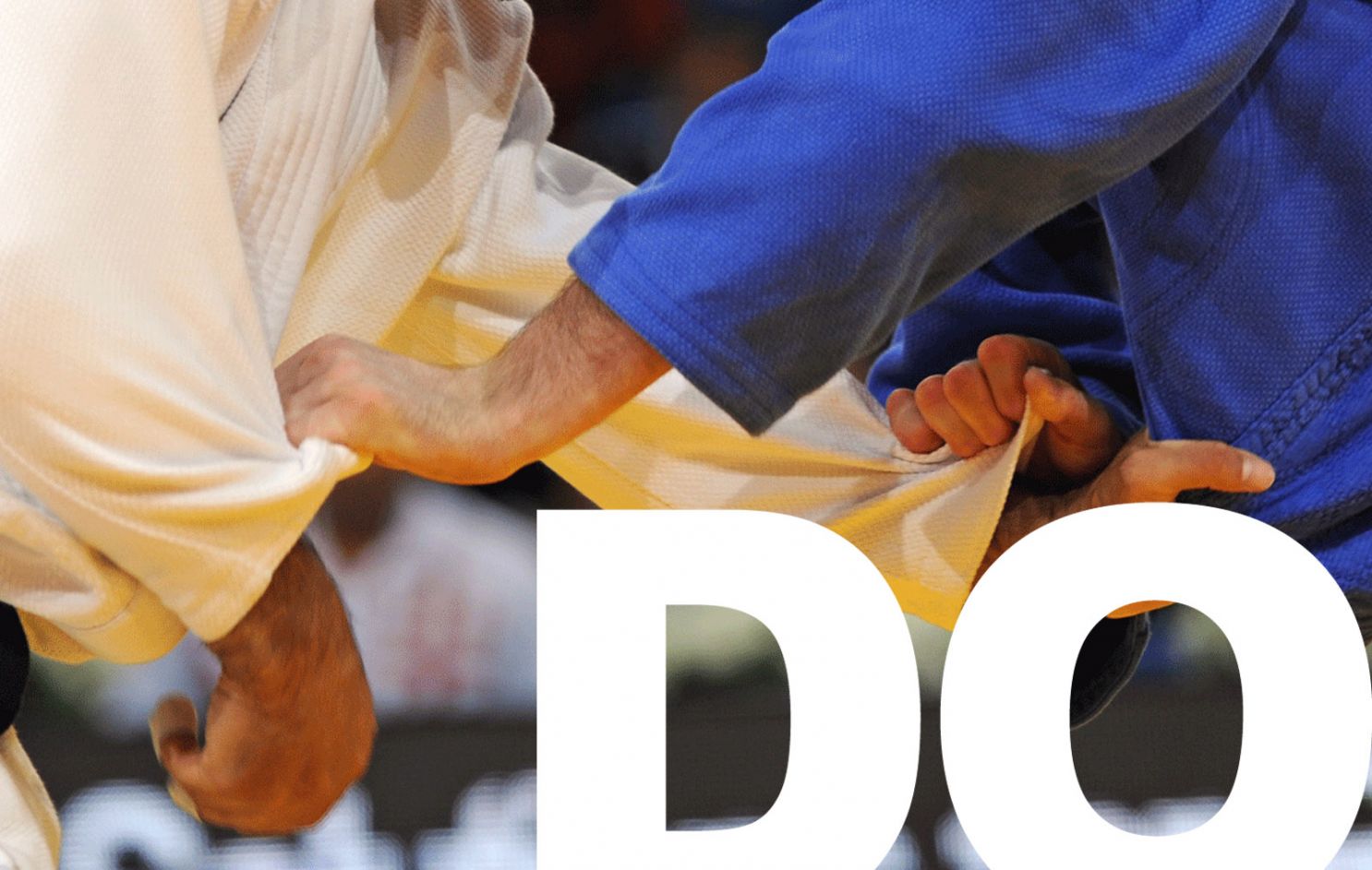 Main image of Scuola Arti Marziali Dojo Arashi