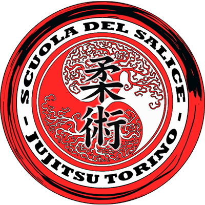 Main image of SCUOLA DEL SALICE - JUJITSU TORINO