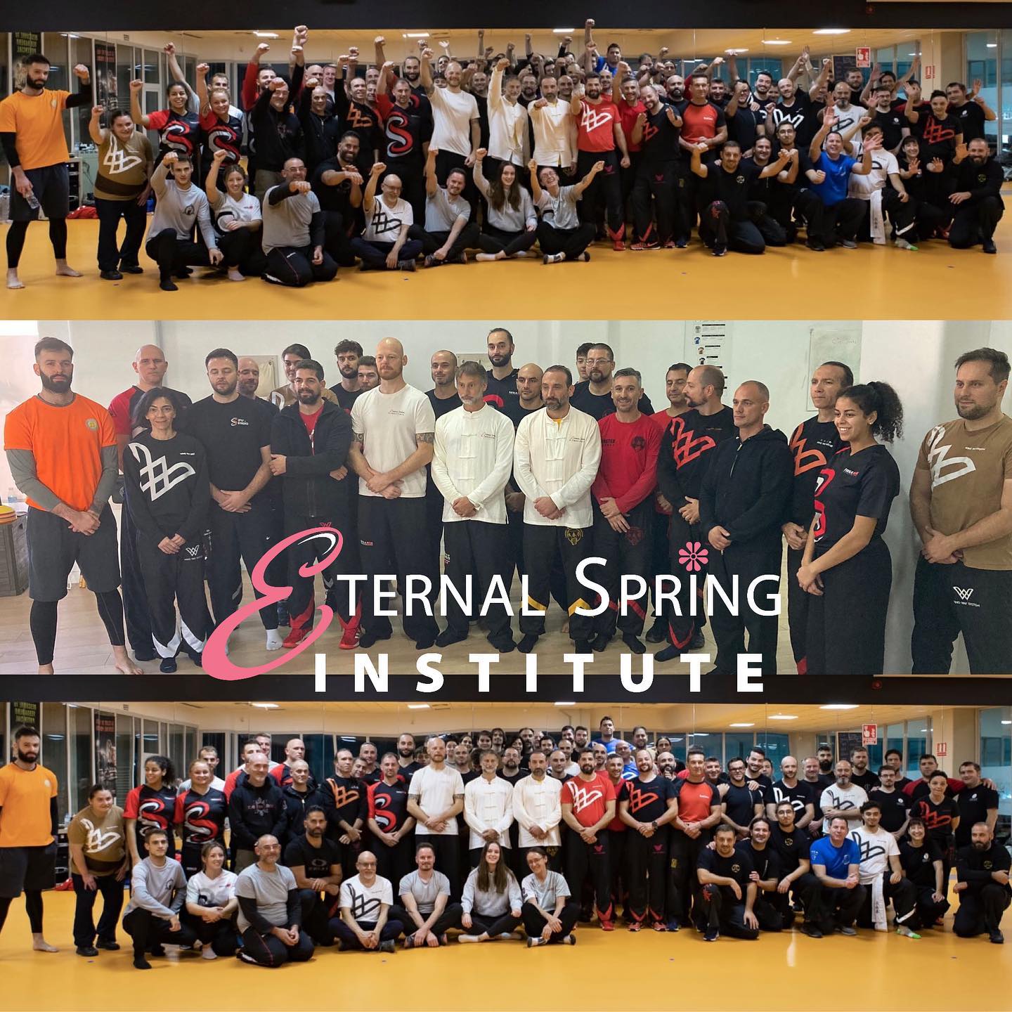 Main image of Scuola Wkt Wing Chun Tradizionale