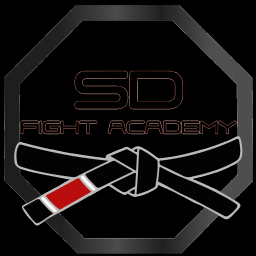 Main image of SD Fight Academy