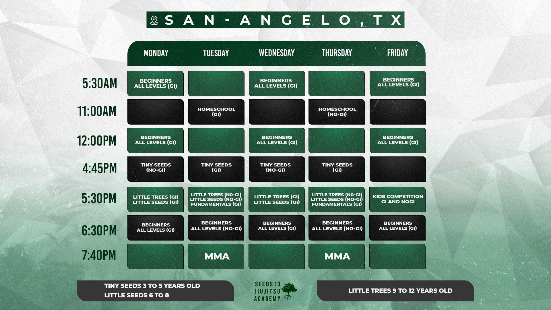 Main image of Seeds 13 Jiu-Jitsu Academy - Abilene, TX