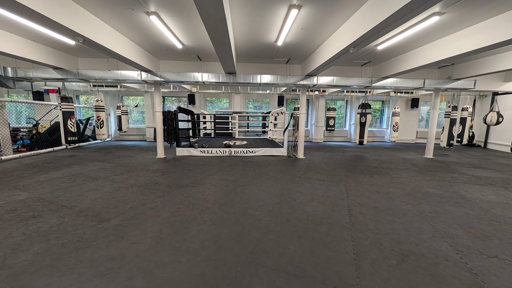Main image of Seeland Boxing - Biel Bienne
