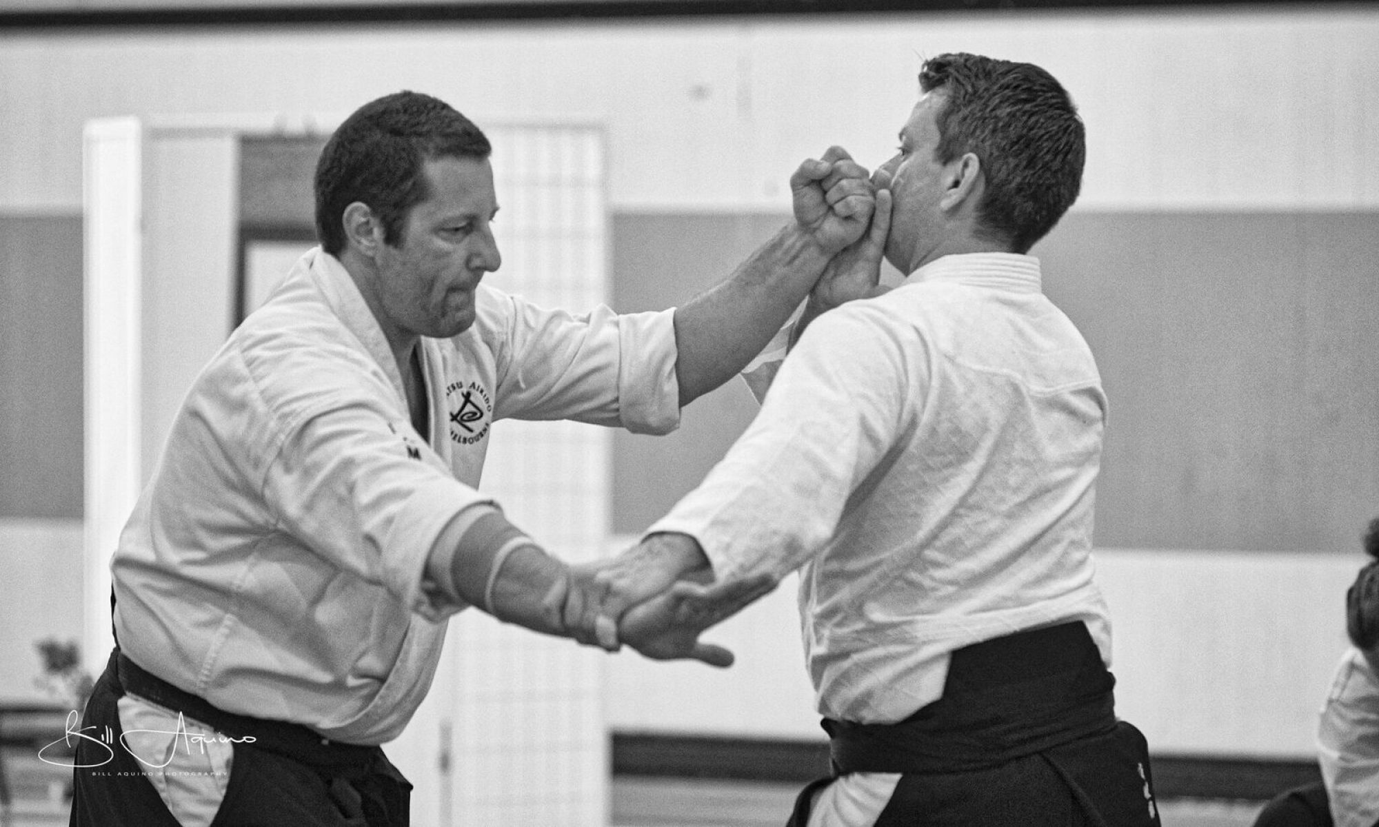 Main image of Seikatsu Aikido