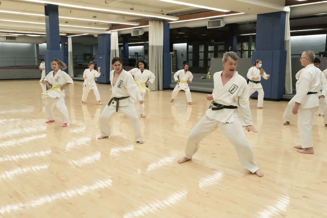 Main image of Seikikai Martial Arts