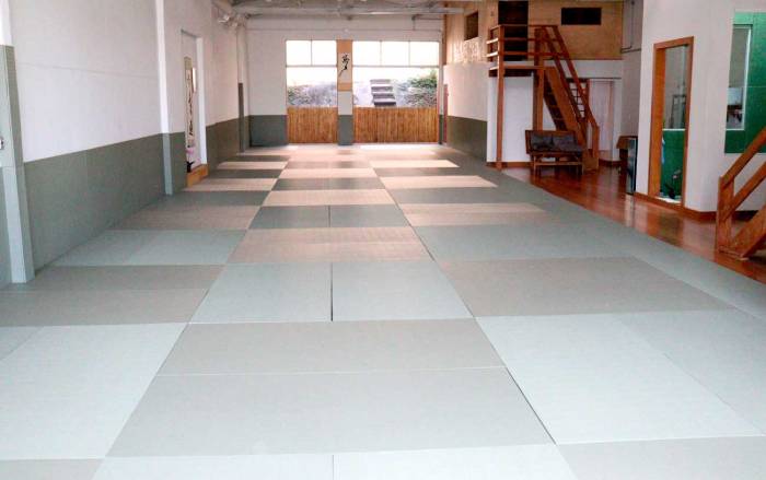 Main image of Seimeikan Dojo